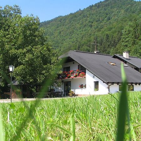 Guest House Atelsek Recica ob Savinji Εξωτερικό φωτογραφία