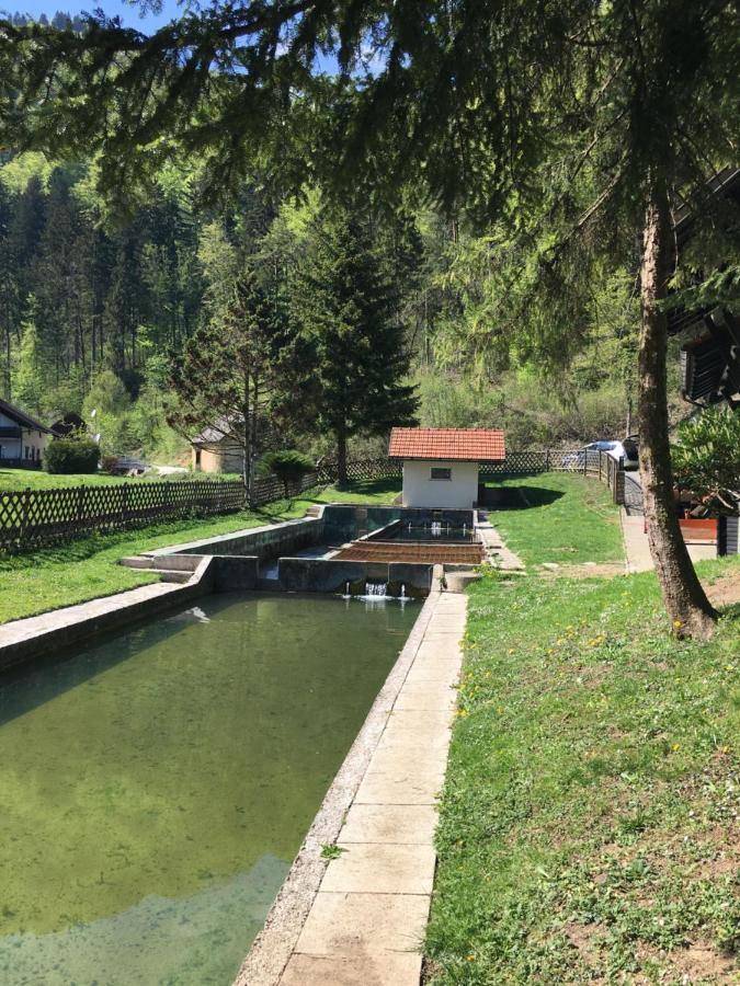 Guest House Atelsek Recica ob Savinji Εξωτερικό φωτογραφία
