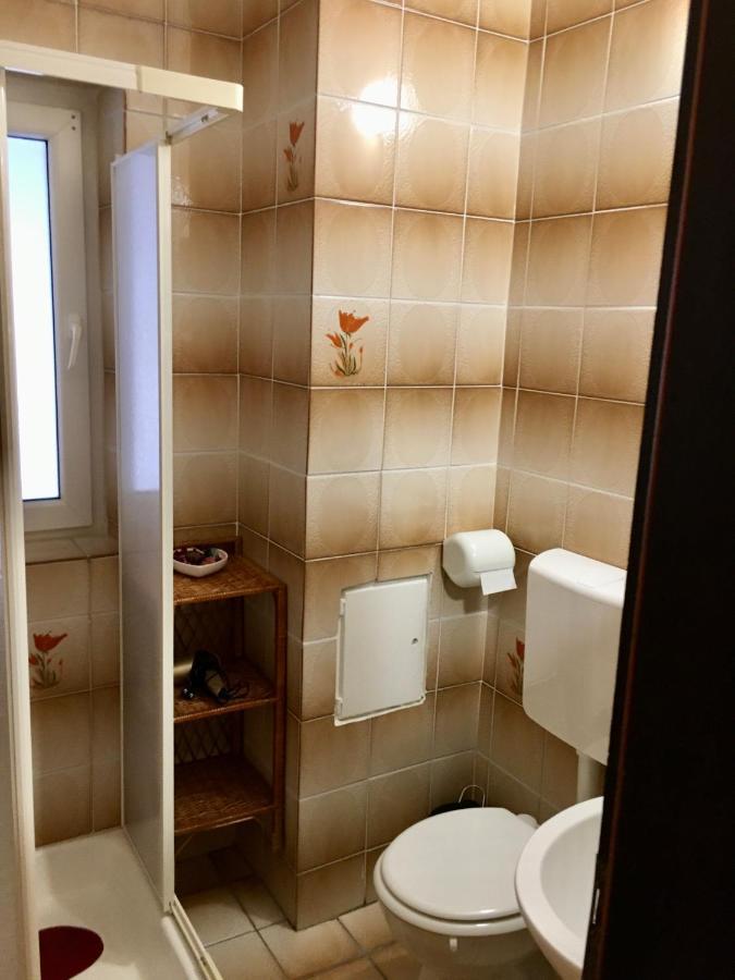 Guest House Atelsek Recica ob Savinji Εξωτερικό φωτογραφία