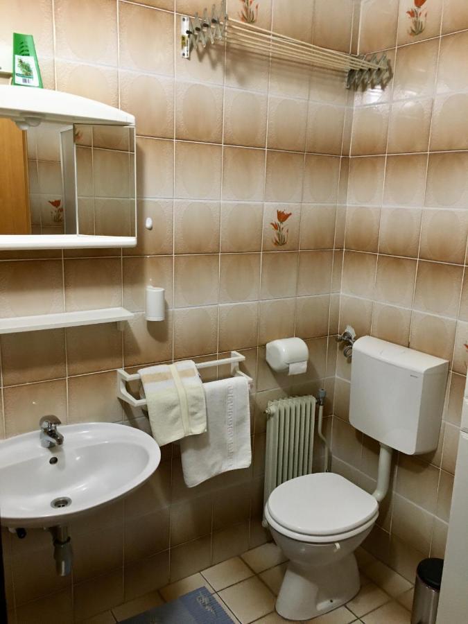 Guest House Atelsek Recica ob Savinji Εξωτερικό φωτογραφία